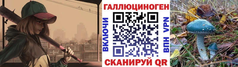 Галлюциногенные грибы прущие грибы  где купить наркоту  это какой сайт  Ельня  kraken сайт 